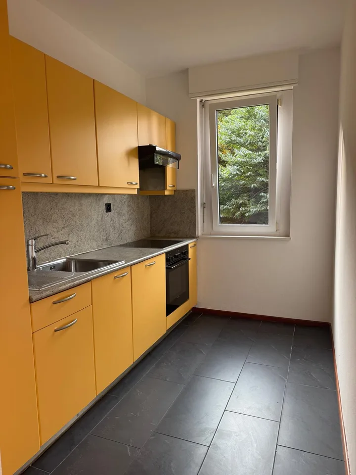 Elegante 2.5 locali con vista lago a Paradiso – photo 5 sur 8
