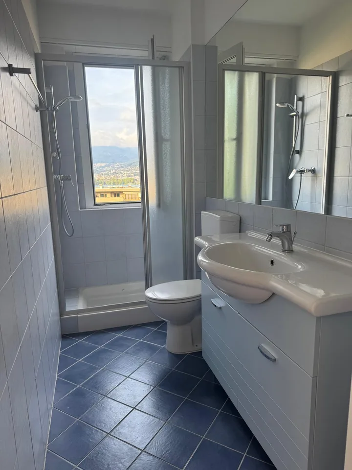 Elegante 2.5 locali con vista lago a Paradiso – photo 8 sur 8