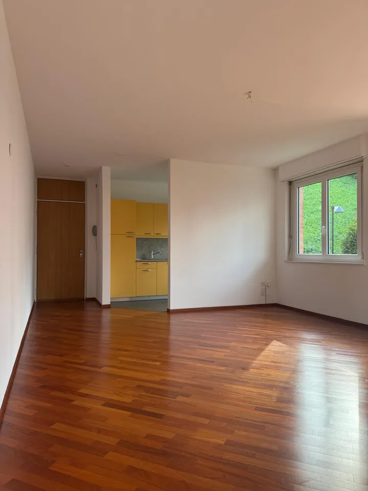 Elegante 2.5 locali con vista lago a Paradiso – photo 3 sur 8