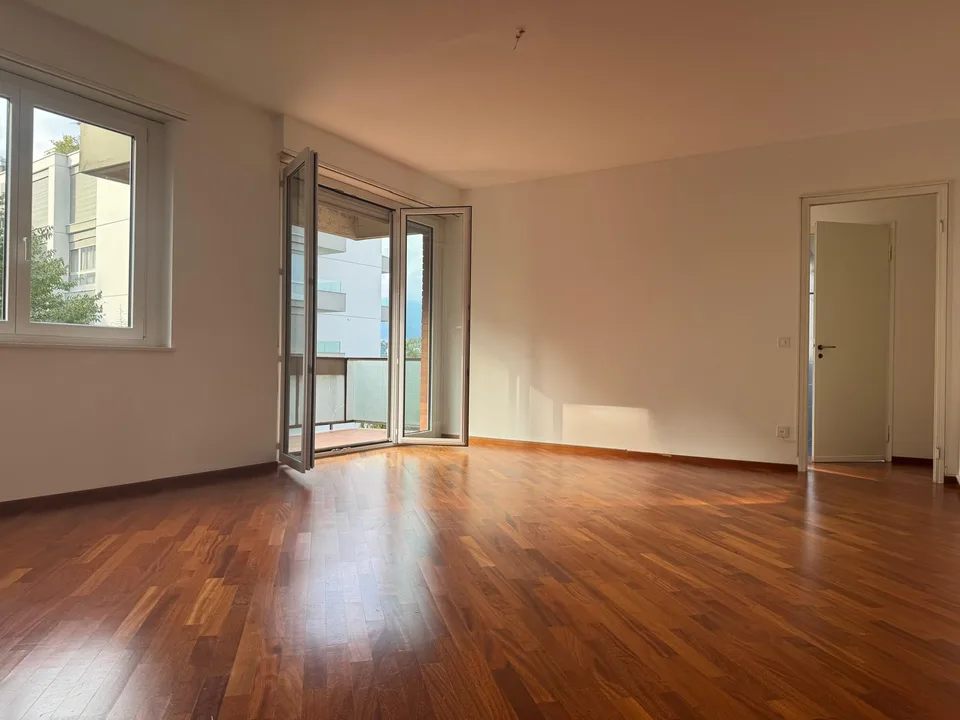 Elegante 2.5 locali con vista lago a Paradiso – photo 2 sur 8