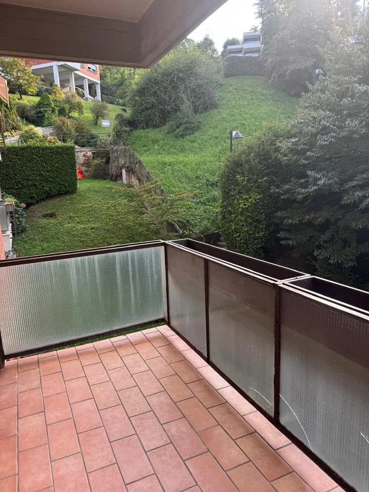 Elegante 2.5 locali con vista lago a Paradiso – photo 7 sur 8