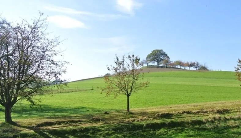 4.5-ZI-Parterre-Wohnungen - gedeckter Sitzplatz mit Grünfläche – photo 11 sur 11