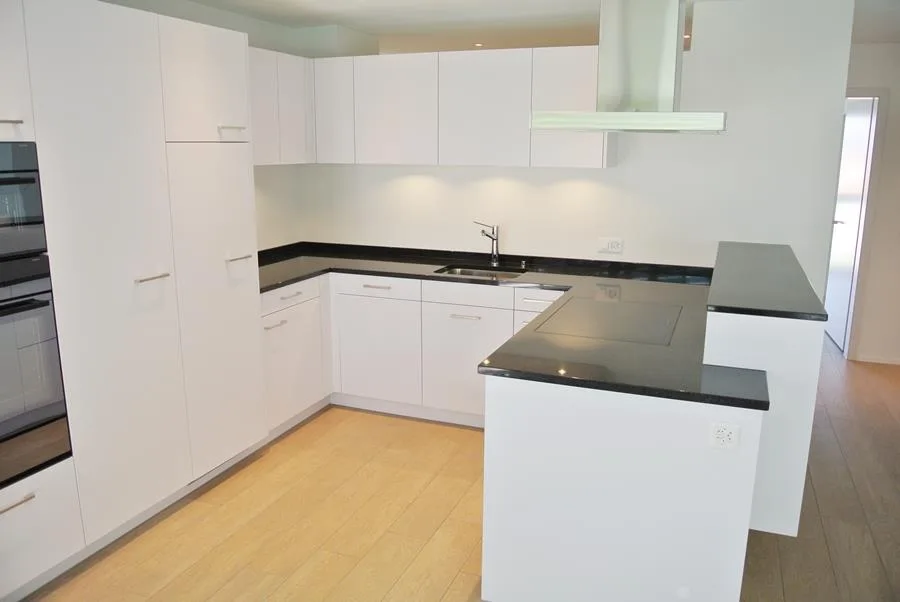4.5-ZI-Parterre-Wohnungen - gedeckter Sitzplatz mit Grünfläche – photo 4 sur 11