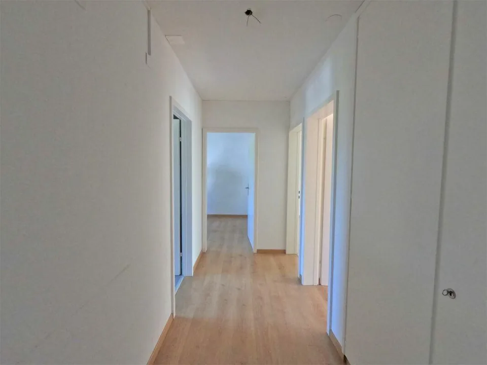 #verliebtinschaffhausen - wundervolle Wohnung mit neuer Küche, neue... – foto 8 di 10