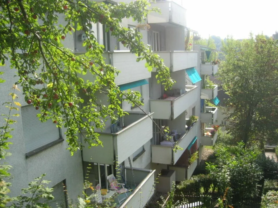 #verliebtinschaffhausen - wundervolle Wohnung mit neuer Küche, neue... – foto 10 di 10