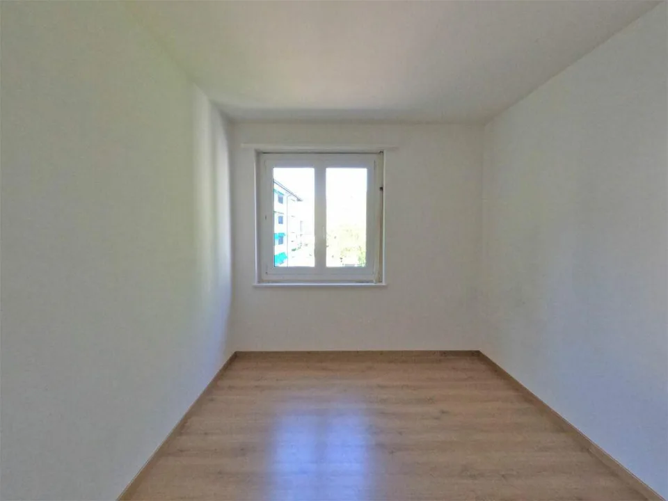 #verliebtinschaffhausen - wundervolle Wohnung mit neuer Küche, neue... – foto 6 di 10