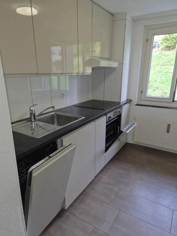 Large 4-room apartment – photo 2 of 12