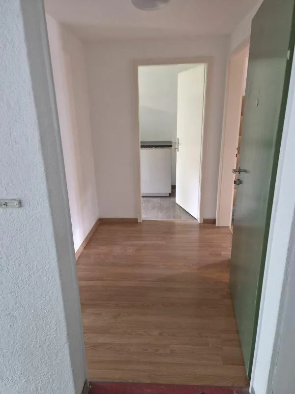Large 4-room apartment – photo 5 of 12
