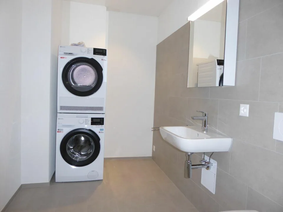 Appartamento 5 1/2 locali - Progetto di costruzione nuova "Rheincity" – foto 12 di 14