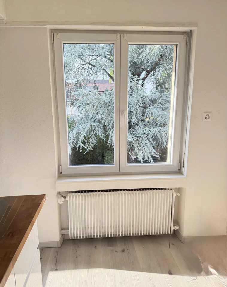 Wohnung in Basel mit grossem Garten – Foto 6 von 12