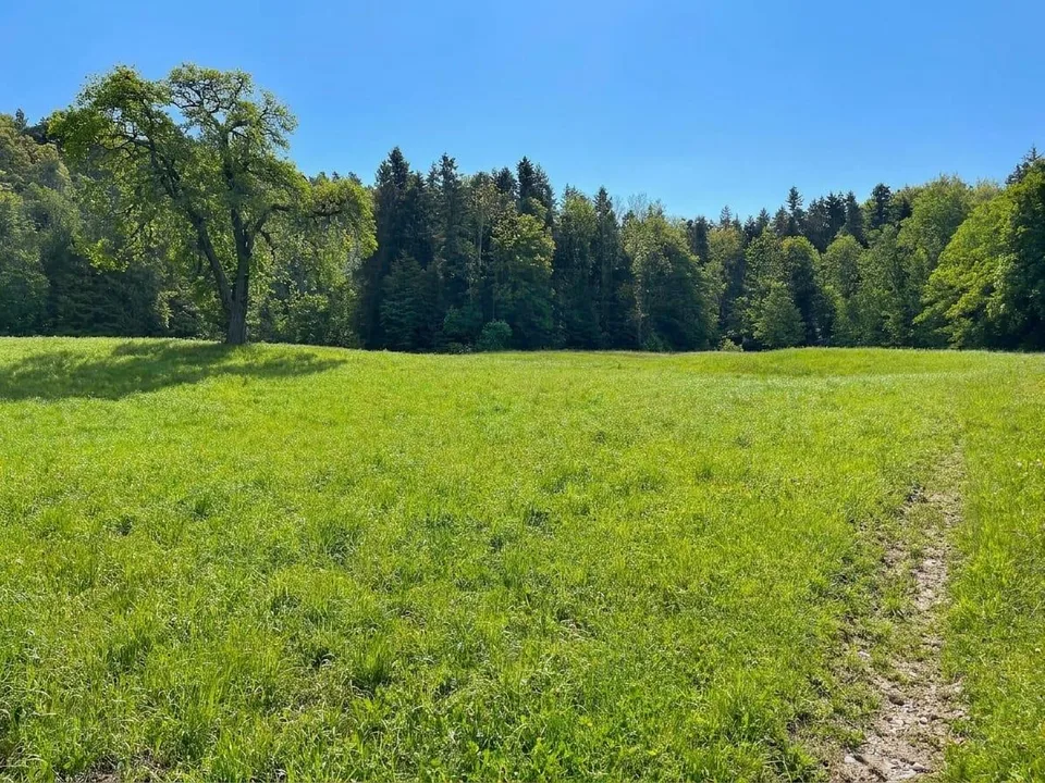 Beaucoup d'espace pour votre avenir - propriété avec grange et potentiel de nouvelle construction à Wittenbach – photo 9 sur 13