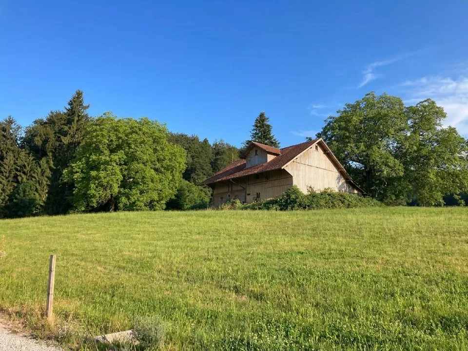 Beaucoup d'espace pour votre avenir - propriété avec grange et potentiel de nouvelle construction à Wittenbach – photo 6 sur 13