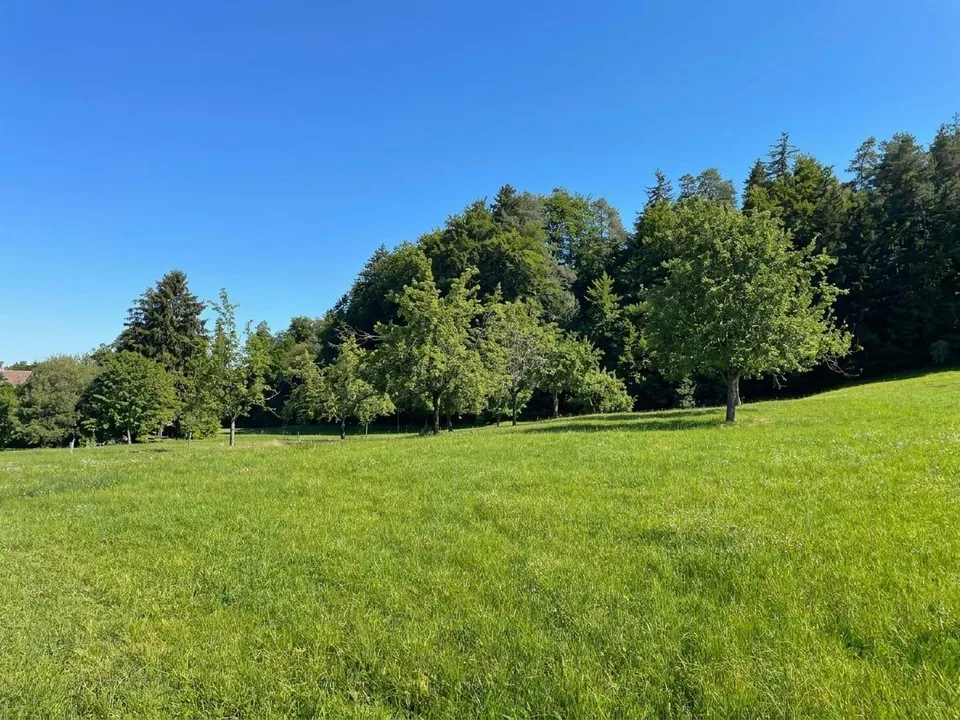 Beaucoup d'espace pour votre avenir - propriété avec grange et potentiel de nouvelle construction à Wittenbach – photo 8 sur 13