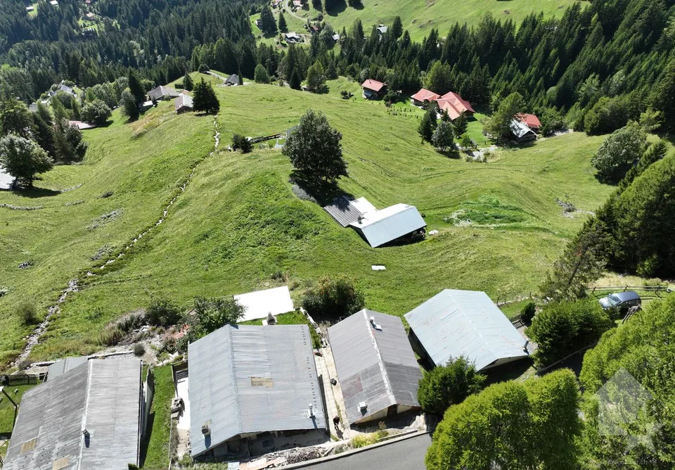 Charming Mayen 3.5p, green setting, calm, top view & sunlight – photo 8 of 20