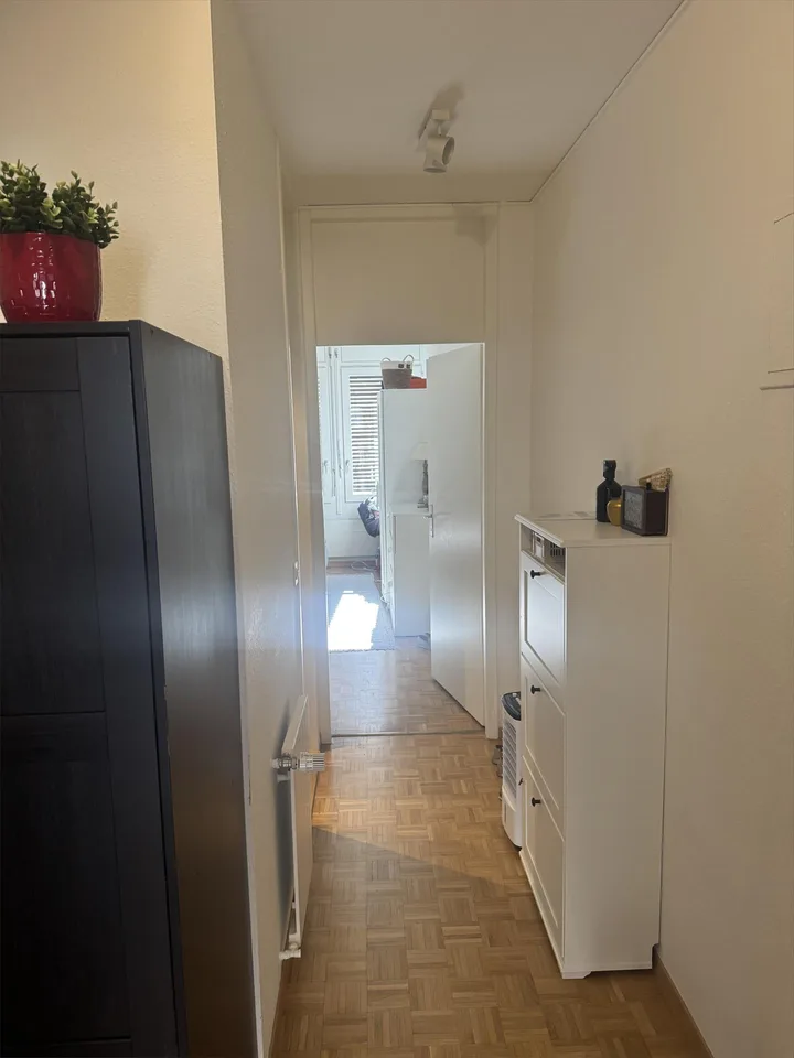 In pieno centro del quartiere Eaux-Vives, a 100 metri dal lago – foto 5 di 5