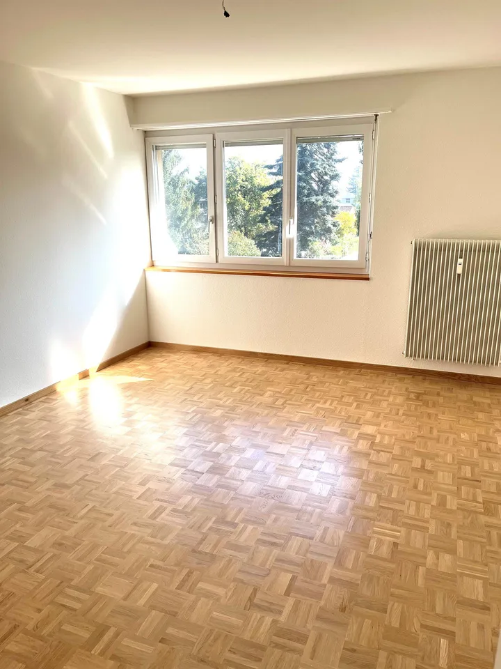 Gemütliche, ruhige 4.5 Z. Wohnung im "Grünen" und doch zentral – Foto 11 von 11