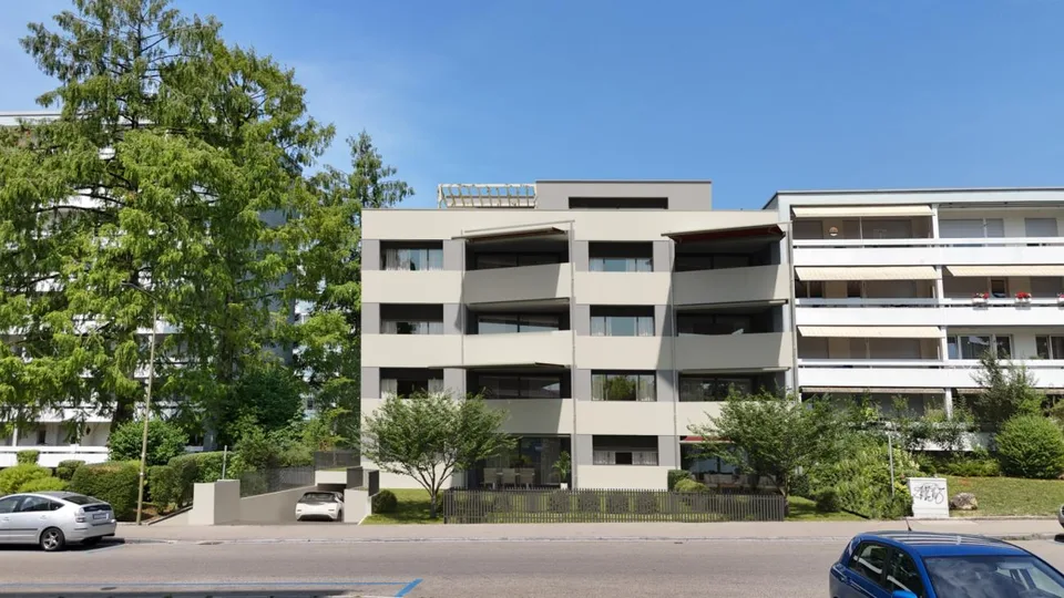 Zorra - vie urbaine. vie individuelle. – photo 4 sur 11