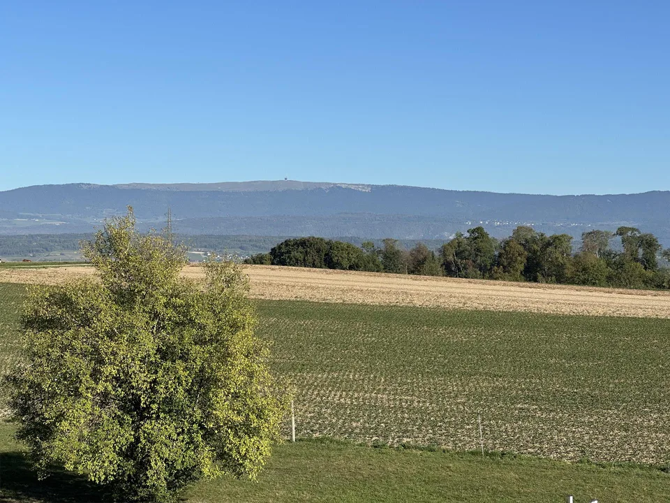 grosszügiges Wohnen mit viel Aussicht, Weitblick und Erholung – Foto 8 von 8