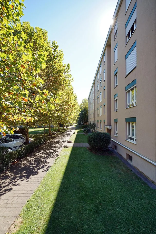 Habiter dans le vert – photo 2 sur 9