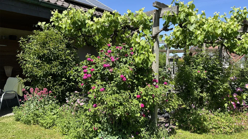 6.5-Zimmer Einfamilienhaus, nahezu autark, mit grossem Grundstück – photo 23 sur 27