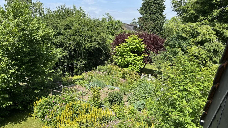 6.5-Zimmer Einfamilienhaus, nahezu autark, mit grossem Grundstück – photo 19 sur 27