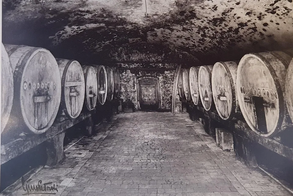 Grotto Bundi alle cantine di Mendrisio – Foto 8 von 30