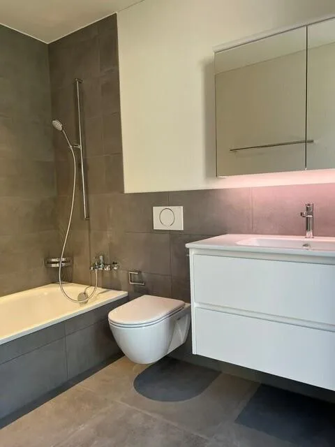 Moderne 5½-Zimmer-Neubauwohnung an attraktiver Lage in Seedorf – foto 7 di 10