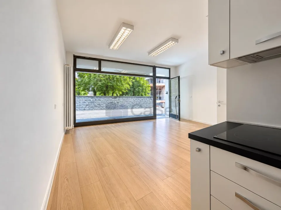 LUGANO VILLA SASSA - VETRINA COMMERCIALE CON POSTI AUTO – Foto 6 von 11