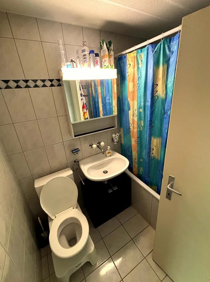 Helle 1.5-Zimmerwohnung an zentraler Lage – photo 5 sur 6