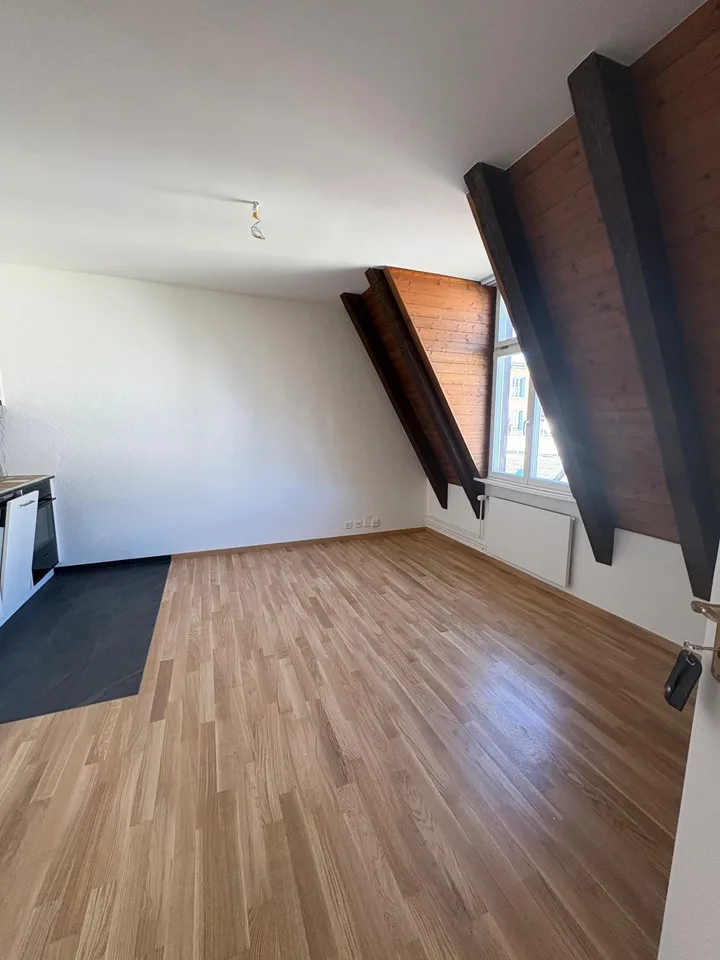Renovierte 2-Zimmerwohnung im Herzen von Luzern – Foto 5 von 10