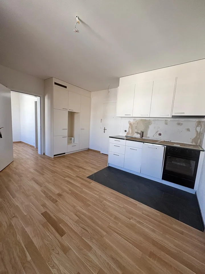 Renovierte 2-Zimmerwohnung im Herzen von Luzern – Foto 3 von 10