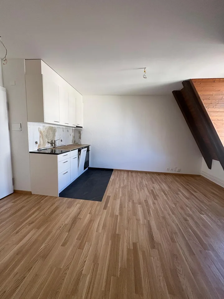 Renovierte 2-Zimmerwohnung im Herzen von Luzern – Foto 4 von 10