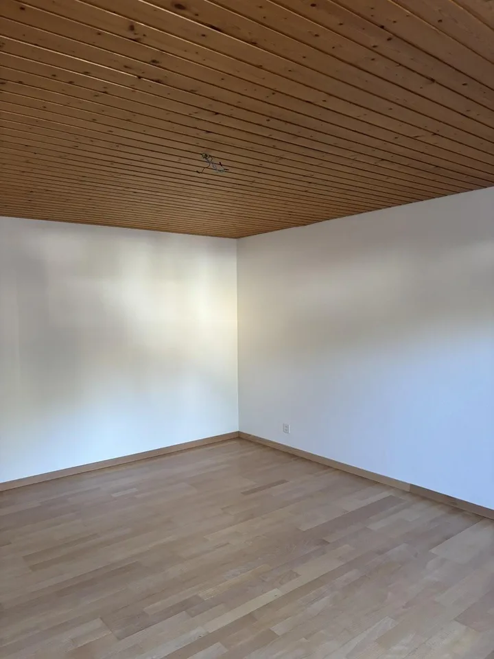 Appartamento di 2 camere in affitto a Niederdorf – foto 7 di 10