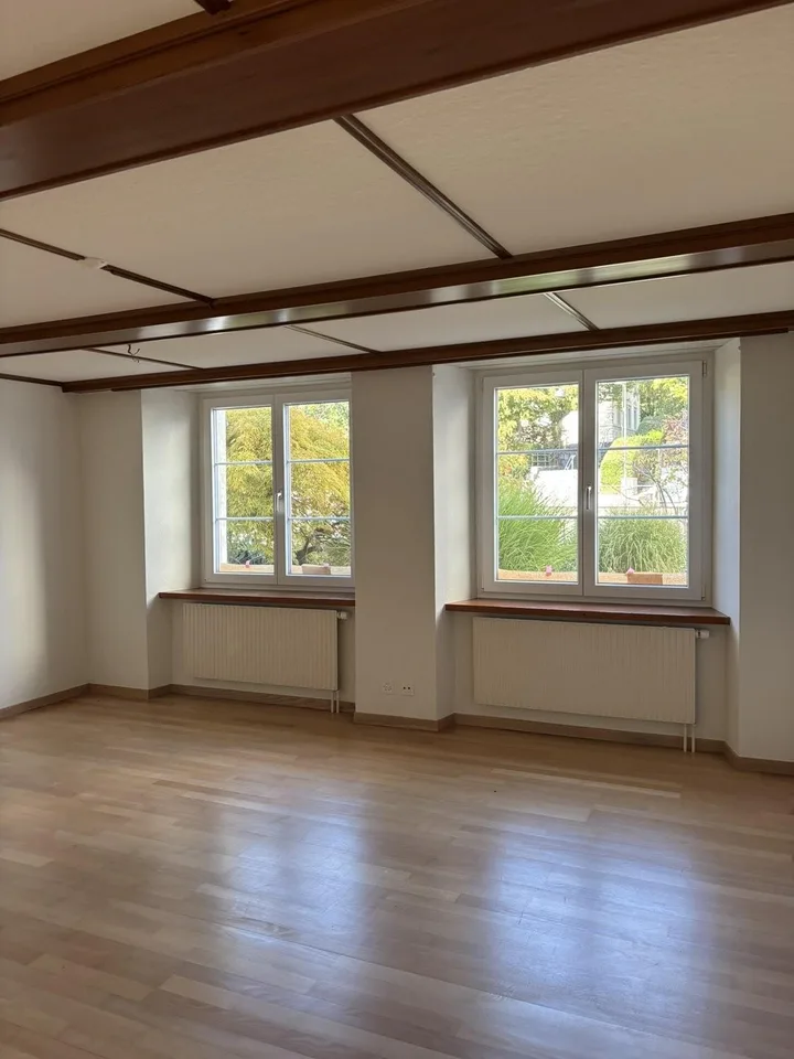 Appartamento di 2 camere in affitto a Niederdorf – foto 4 di 10