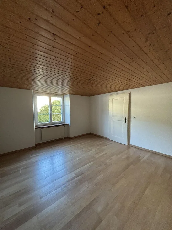 Appartamento di 2 camere in affitto a Niederdorf – foto 6 di 10
