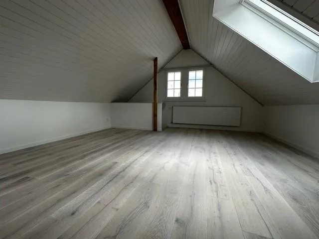 Gemütliche Dachwohnung in historischer Liegenschaft – photo 9 of 12