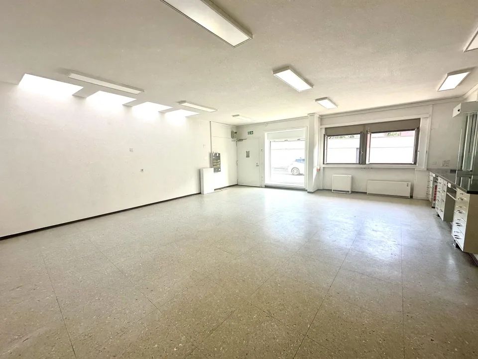 Splendida casa indipendente 7.5 locali con giardino a Cureglia – foto 11 di 15