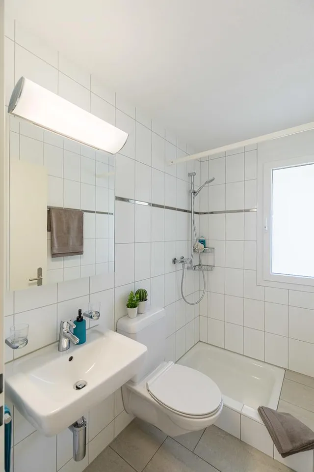 5.5 room apartment for rent in Zofingen – photo 9 of 12