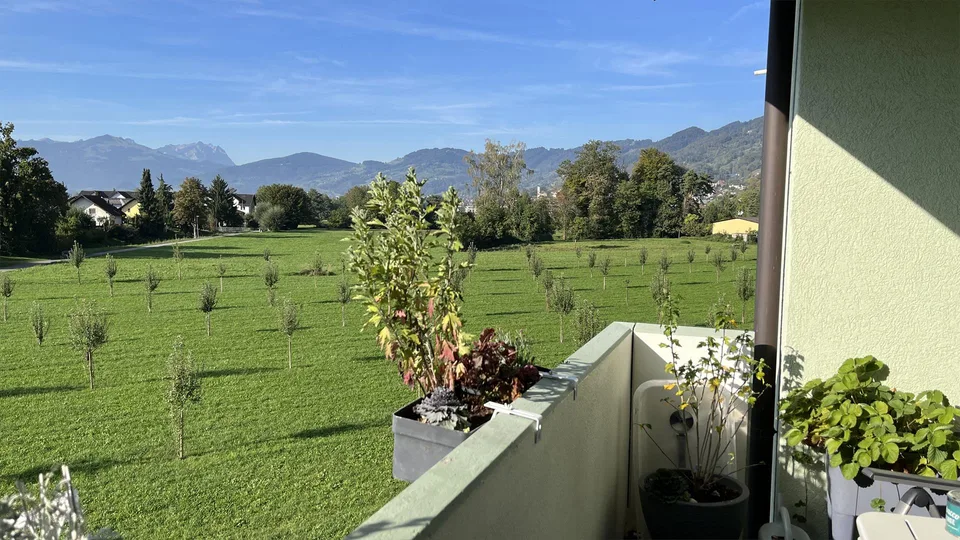 3.5 Zimmer Wohnung an ruhiger Lage mit toller Aussicht in Balgach – photo 7 sur 12