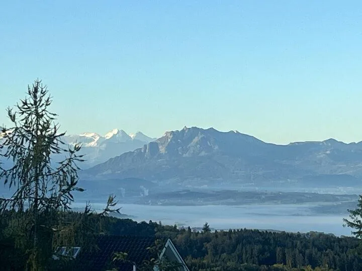 MAISONETTE IDYLL WITH A VIEW AT ALBIS – photo 7 of 8