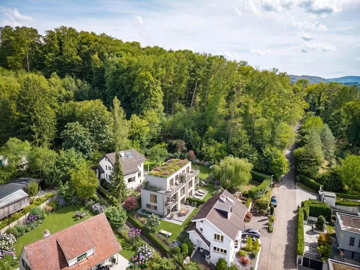 693 M² BAULAND AN BEGEHRTER HANGLAGE IN DORNACH – Foto 2 von 8