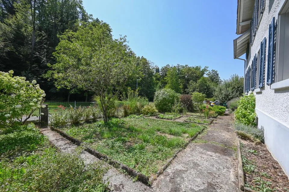 Habiter calmement dans le verdure et pourtant près du centre – photo 6 sur 7