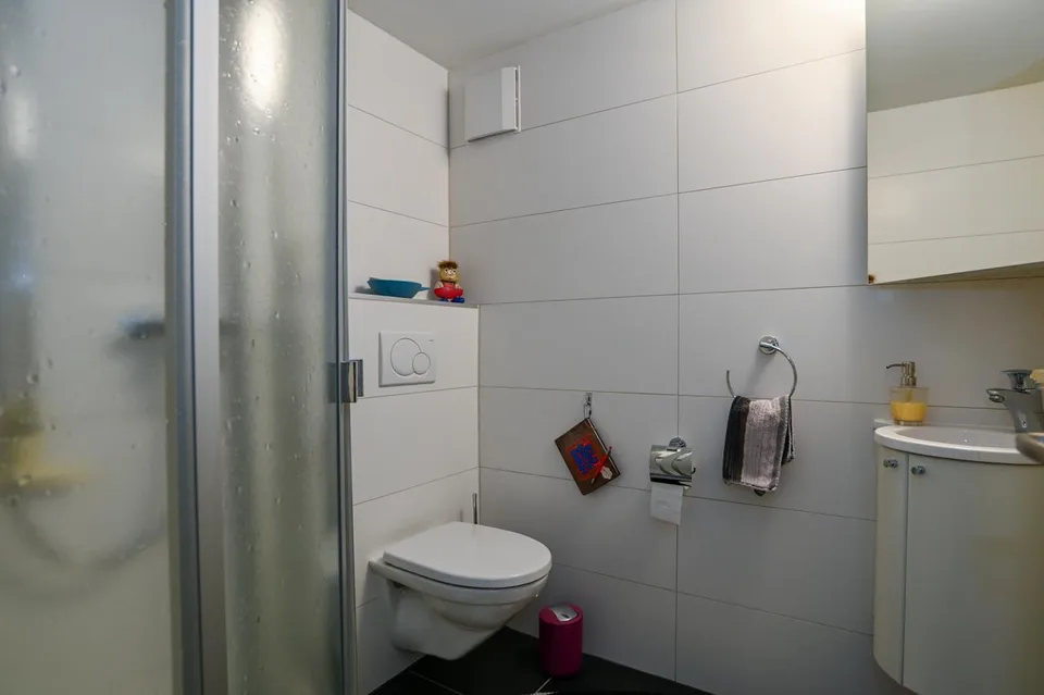 Casa situata in mezzo al verde con giardino di alta qualità e 2 grandi garage – foto 6 di 22