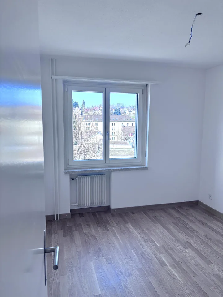 Traumhafte 4.5 Zimmer Wohnung - Erstvermietung nach Sanierung – foto 10 di 13