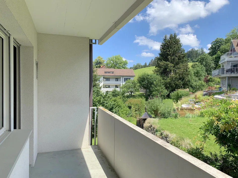 Frisch sanierte 3.5 Zimmer Wohnung mit Blick ins Grüne – Foto 11 von 13