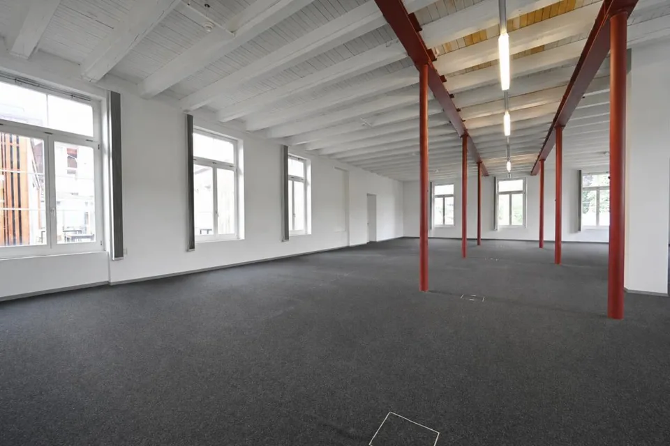 Alles unter einem Dach: Büro, Gewerbe und Lagerflächen im Alpina-Ar... – Foto 8 von 9
