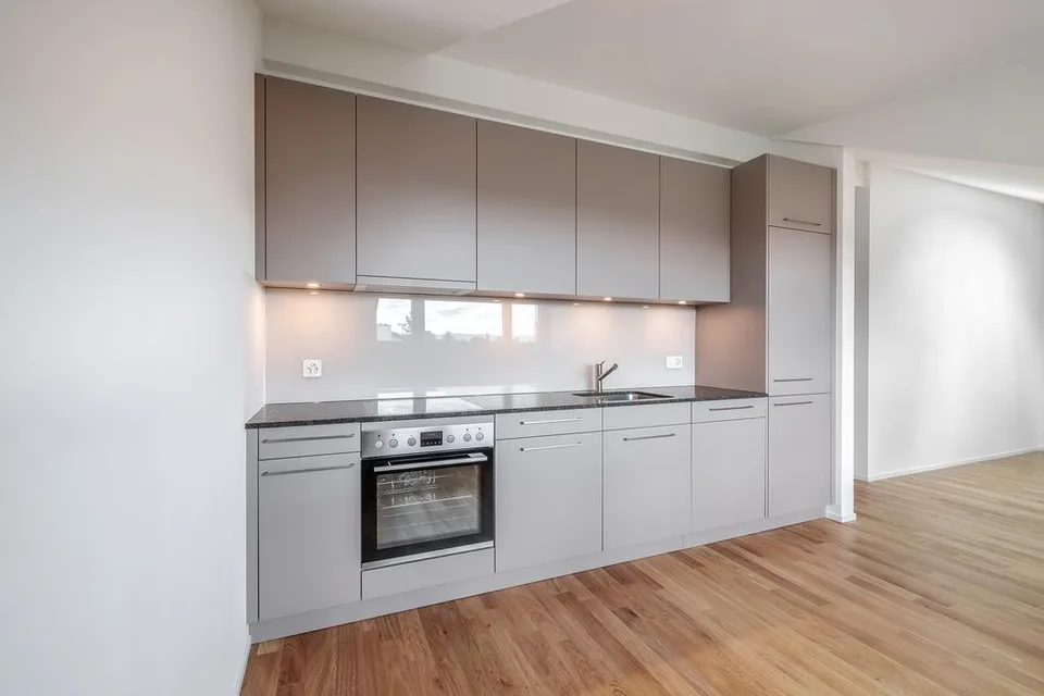Frisch sanierte 3.5 Zimmer-Wohnung im Hirzbrunnenquatier – Foto 2 von 8