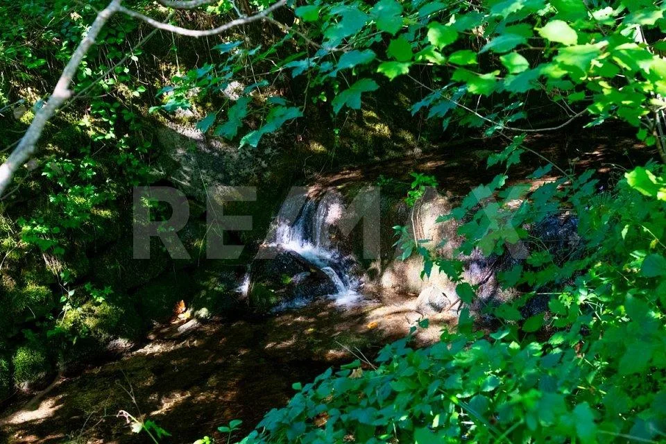 Molto spazio, molta natura e grande potenziale - Casa unifamiliare spaziosa a Schwarzenberg – foto 13 di 13