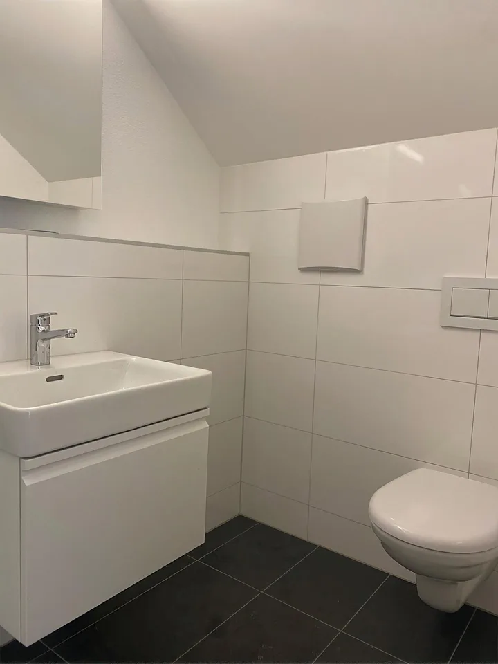 Grosse 1.5 Zimmer Wohnung im Dachgeschoss – Foto 6 von 8