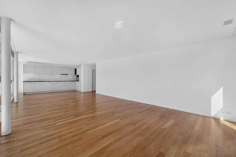 Appartement spacieux et lumineux de 5,5 pièces avec grande terrasse – photo 5 sur 26
